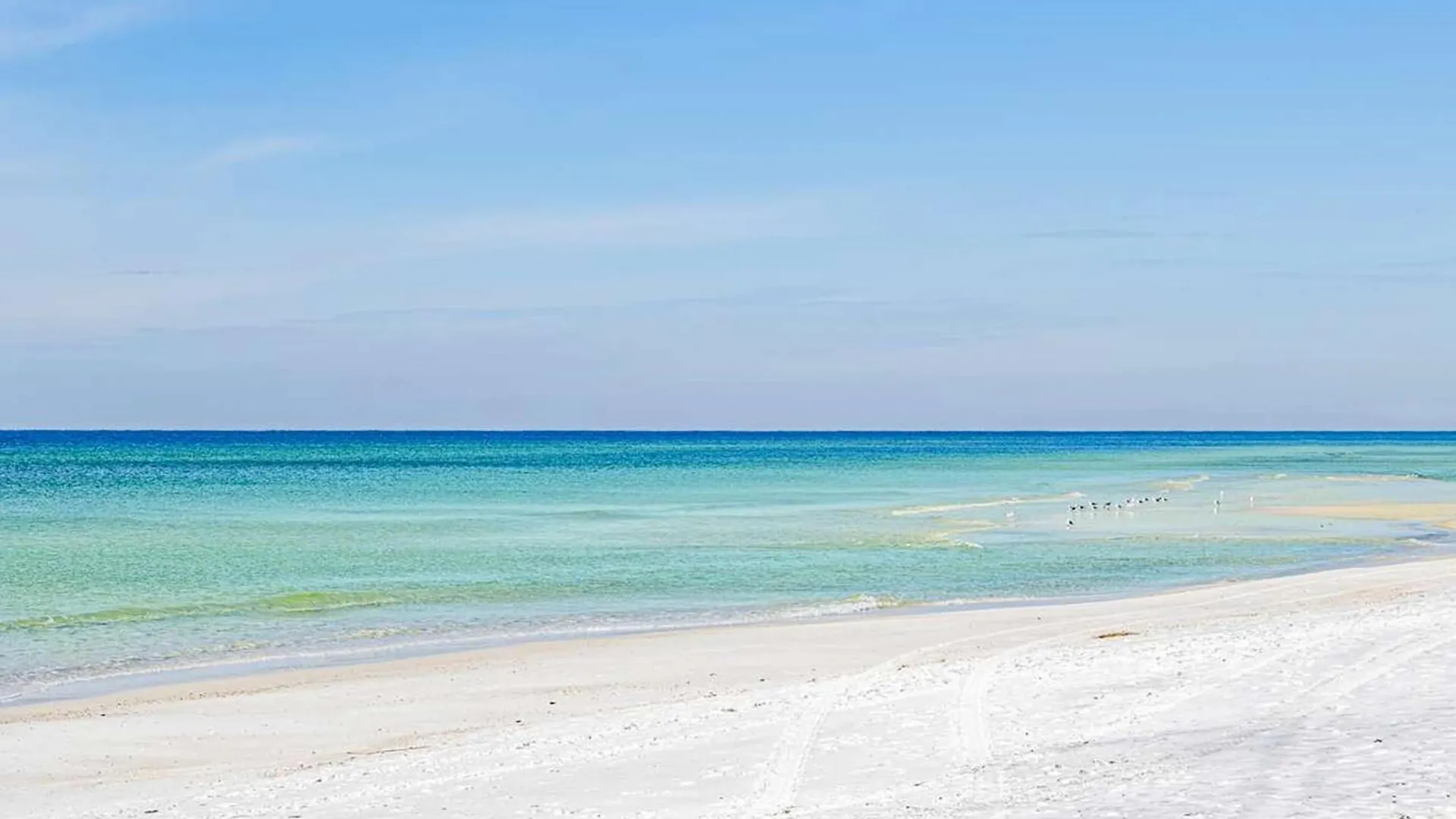 Tatil Evi Sand Dollar B By Emerald Coast Retreats Panama City Beach